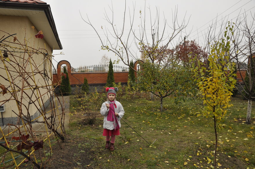 _DSC0753.JPG