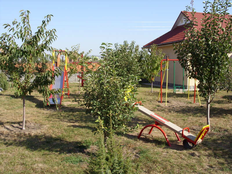 SN850504.JPG