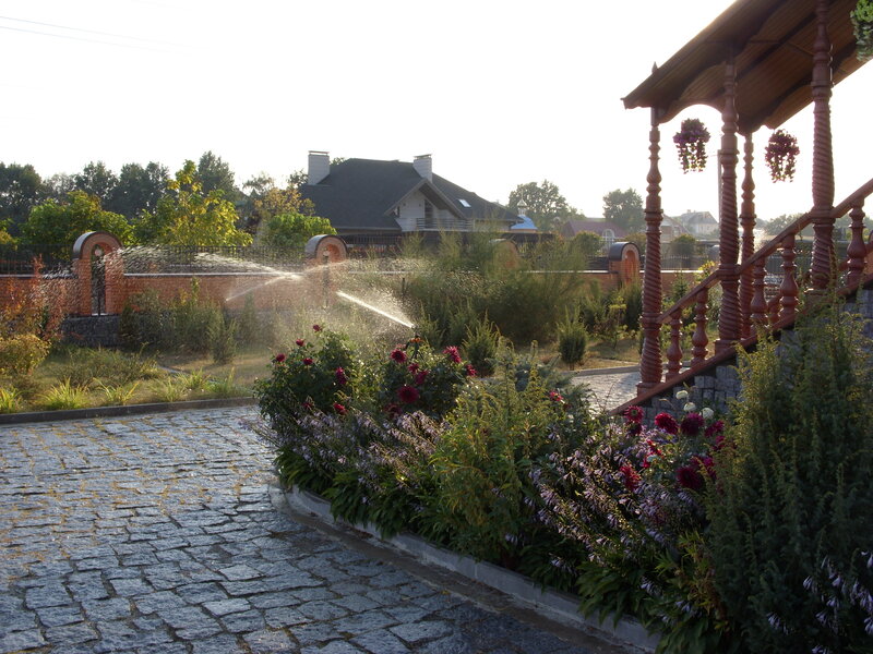 SN850544.JPG