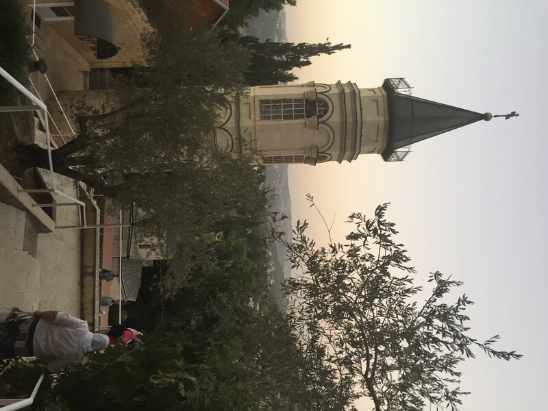 IMG_7225.JPG